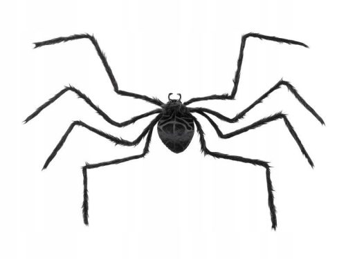  BLACK SPIDER DECORATION 21. 5X13CM