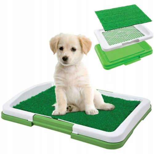  GRASS LAYER FOR DOGS, PUPPIES, LEARNING MAT