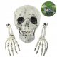  Skull Skeleton, Scary Halloween Garden Decoration