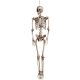  HUMAN SKELETON XXL HANGING HALLOWEEN DECORATION, LARGE 160 CM HUMAN SKELETON