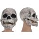  LATEX SKELETON MASK FOR ADULTS HALLOWEEN WITH MOVABLE JAW GRAY