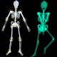  Skeleton HALLOWEEN decoration, 90 cm, luminous