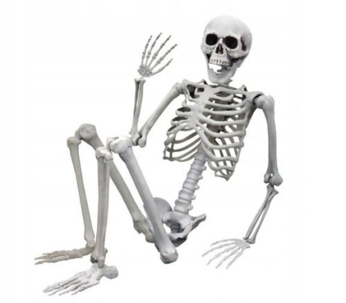  HUMAN SKELETON HALLOWEEN BONE MODEL 90CM