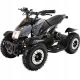  Electric Atv Quad Cobra 800 Watt (Black/Grey)