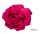  Brooch/Lapel Pin Large Satin Flower Fuchsia/Amaranth 16 cm / 2965