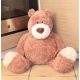  big NICI mascot teddy bear teddy bear flower 80cm