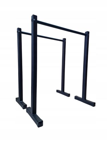  Dav-Ski P-4 250kg exercise bars black