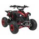  Quad Vehicle Petrol RENEGADE HIPERFECT 110CC Red