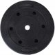  BITUMINOUS LOAD PULLEY 20KG GYM 29mm COMPOSITE EXERCISE PLATE