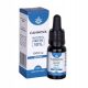  CBG Oil Cannova 10% 10ml BROAD SPECTRUM