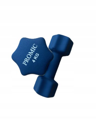  Cast iron dumbbells fixed PROMIC 2x 4 kg