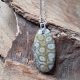  Pendant pendant fossil coral fossil beautiful drawing silver