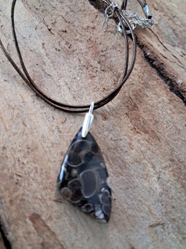  Pendant pendant shell agate turitella fossil silver opportunity