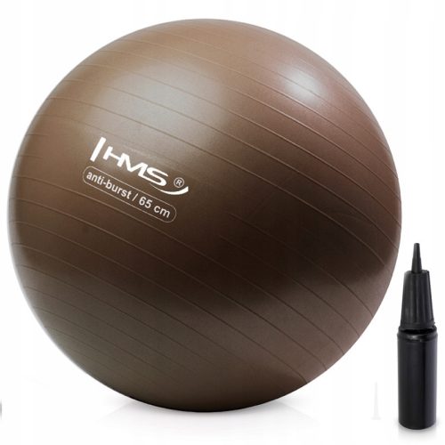  HMS ANTI-BURST Rehabilitation Gym Ball For Fitness Exercises 65 cm