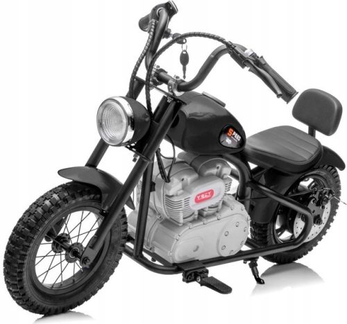  2-WHEELER MOTORCYCLE INFLATABLE TIRES BATTERY 24V POWER 250W