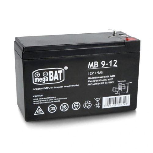  Leantoys 4961 black battery