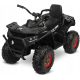  Quad Toyz TERRA BLACK Black