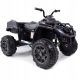  MEGA BIG QUAD, SHOCK ABSORBERS, SOFT WHEELS, REMOTE CONTROL, SLOW START, RADIO/090