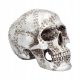  Rivet Head Skull 19cm