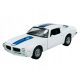  WELLY 1972 PONTIAC FIREBIRD TRANS AM WHITE 1:24 NEW METAL MODEL 24075