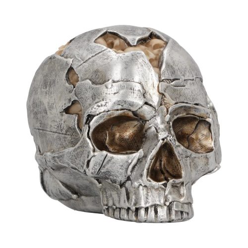  Large Alternative Fracture Skull 16cm