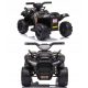  BATTERY-POWERED QUAD FOR A BABY - CHAMPION 5000/JS320