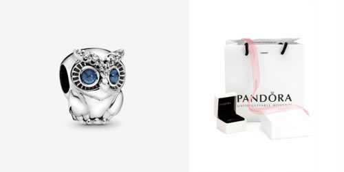  Charms Sparkling Owl 798397NBCB s925 Moments Pandor