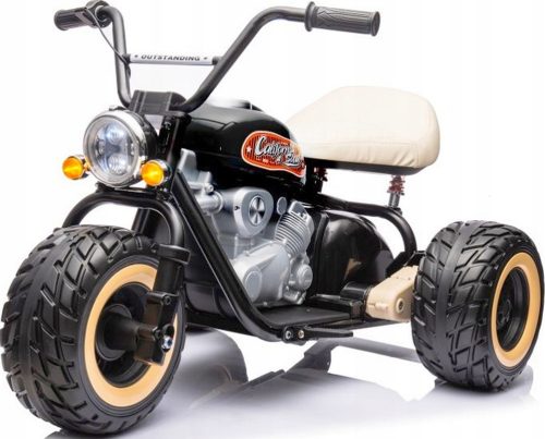  3 WHEEL MOTOR 24V BATTERY POWER 2x800W SOFT WHEELS