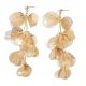  Earrings LONG gold GINK BILOBA LEAF