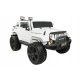  MEGA DZIP MIGHTY, 4X4 DRIVE, SLOW START, SOFT WHEELS, EXCLUSIVE/HL-1668