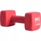  Dumbbell Cast Iron Dumbbell Neoprene Weight Fitness 8kg PURE 2 IMPROVE