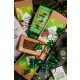 Edible insects - Large Christmas gift set - chocolate + socks
