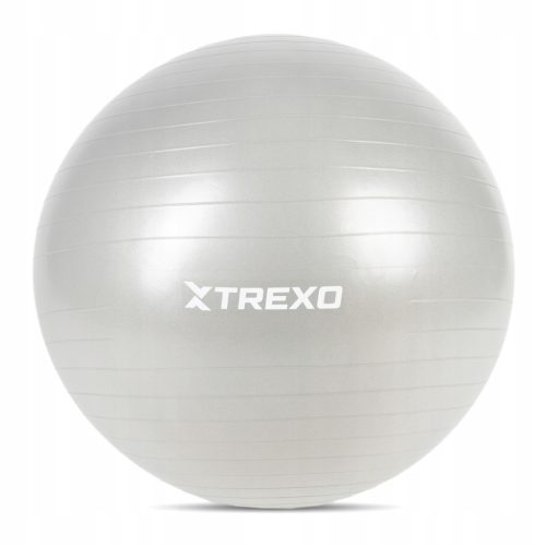  TREXO TXO-B4Z009-GY Gym Ball 75 cm Gray