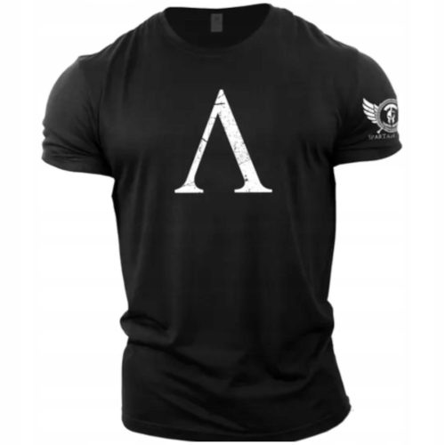  GYM WEAR PREMIUM BREATHABLE ALPHA T-shirt for Gym Running Training M