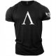  GYM WEAR PREMIUM BREATHABLE ALPHA T-shirt for Gym Running Training M