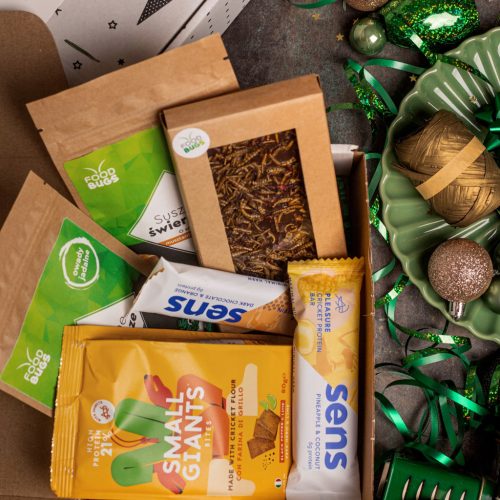  FoodBugs - Edible insects - Sweet and salty Christmas set for him worms
