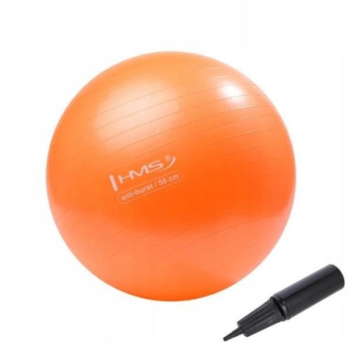  REHABILITATION BALL 55 cm HMS YB02 GYMNASTIC BALL FOR FITNESS EXERCISES