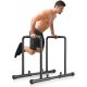  HIGH DIP BAR EXERCISE DIP STATION 500 kg Yoleo