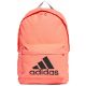 Adidas Youth School Sports Backpack 27L with Large Logo