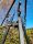  Grills Giant tripod 230cm Grill stand 100cm with decorative C and pine cone