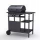  Bagnét Verd BBQ Gas GRILL 2 burners 5.5kW with a table on wheels