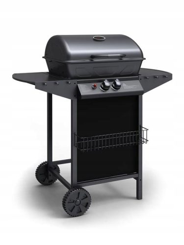  MODERN COMPACT GAS GRILL 2 BURNERS EFFICIENT IDEAL FOR GARDEN