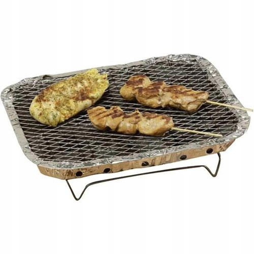  DISPOSABLE PICNIC GRILL