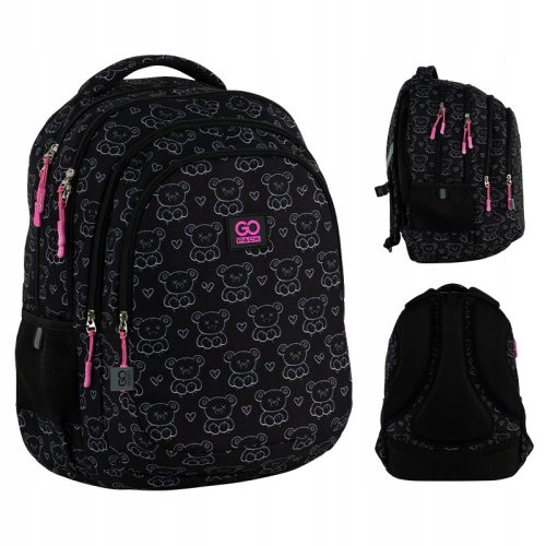 GoPack GO25-162L-2 Youth School Backpack for Girls: Stylish & Ergonomic Design
