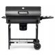  Activa Charcoal Grill 71 x 35 cm