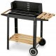  Konighoffer charcoal grill 48 x 27 cm