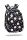 Coolpack Base Plus Daisy Black Youth Backpack