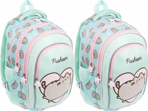 2-Pack Pusheen Mint School Backpacks, 22L, Four Compartments