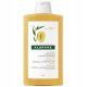Nourishing Mango Shampoo for Dry Hair, 400ml - Gentle and Protective