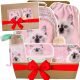 Cleo & Frank 5-in-1 Kitten Theme Backpack Set for Girls